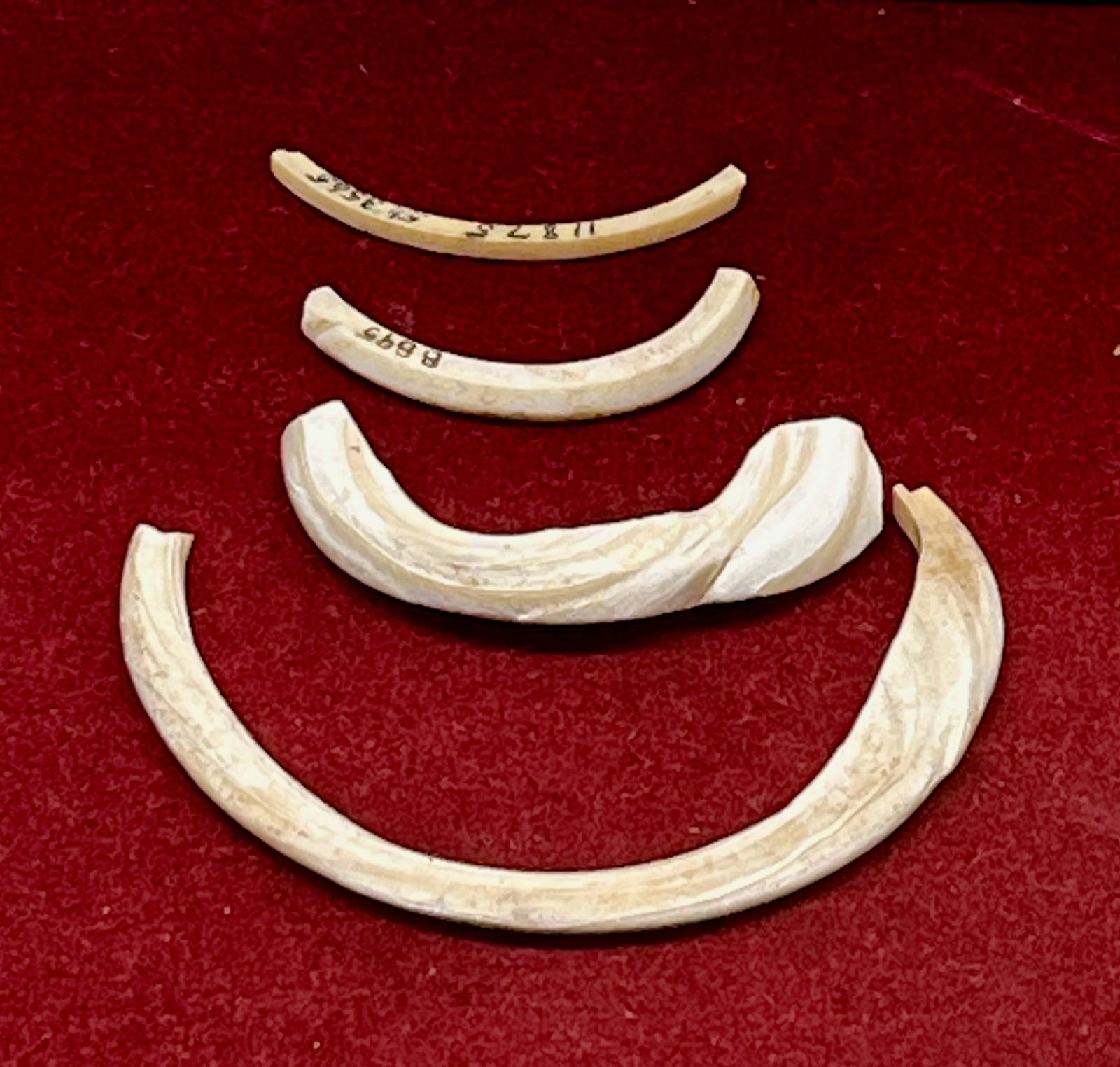Bangles