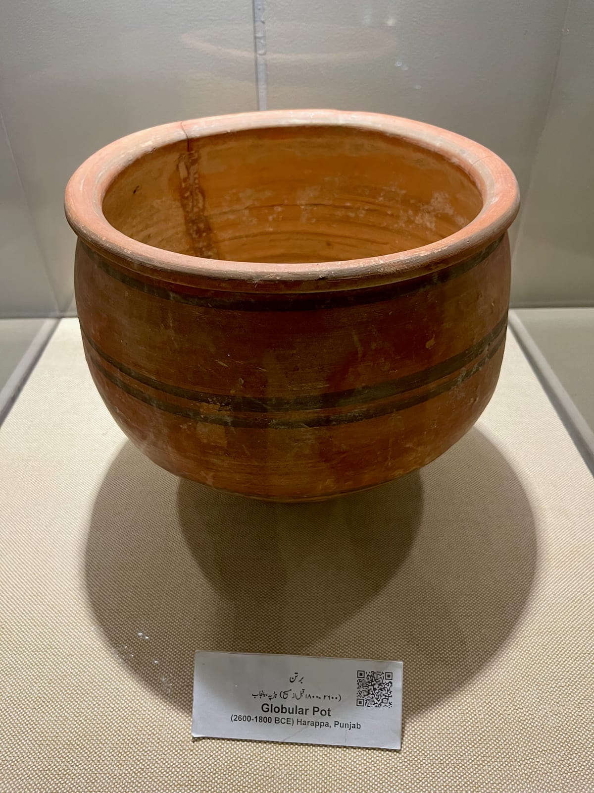 Pot