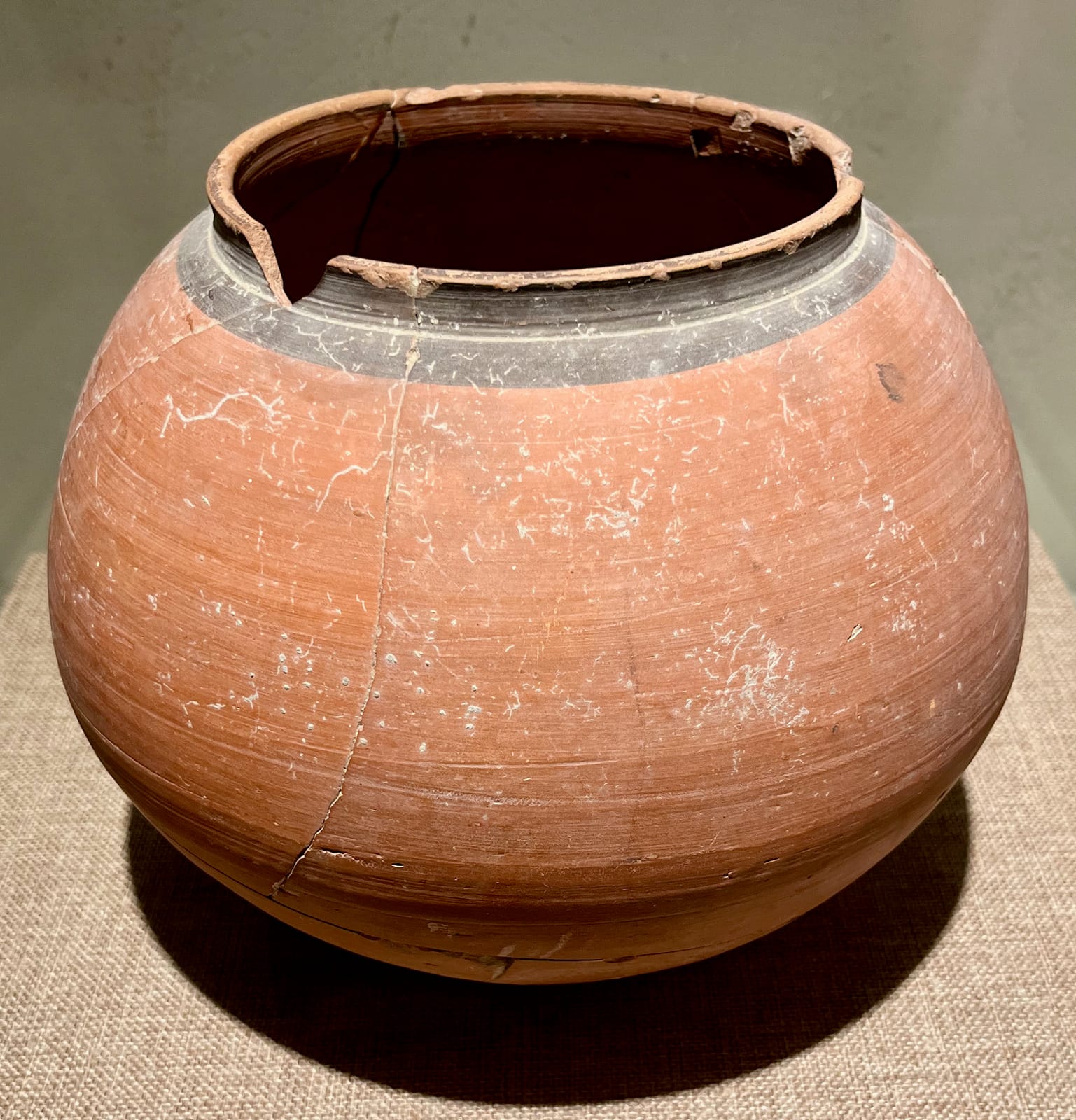 Pot